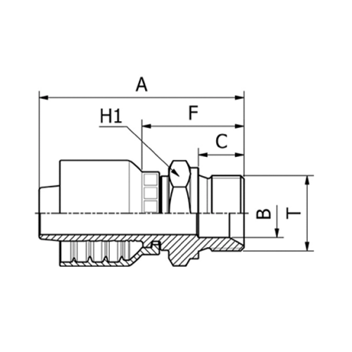 Terminal OPF Reto Macho BSPP 60° Boleado 3