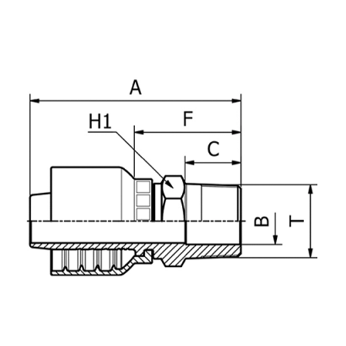 Terminal OPF Reto Macho NPTF 3