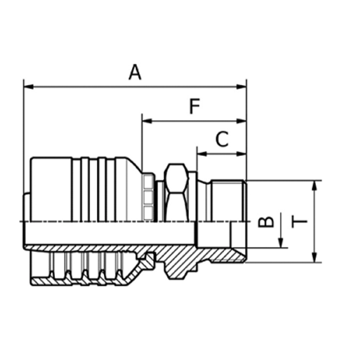 Terminal OPK Reto Macho BSPP 60° Boleado 3