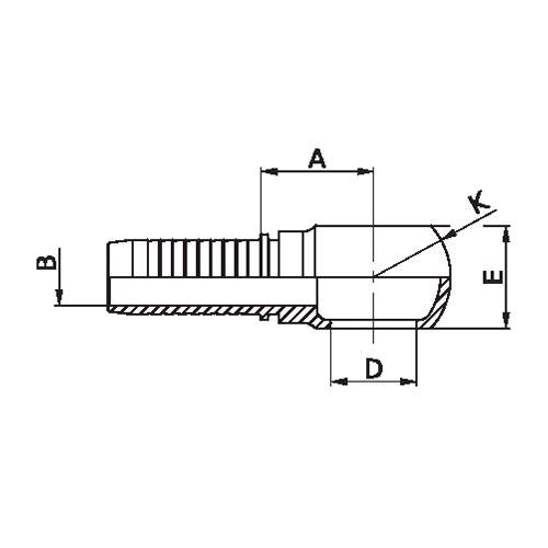 Terminal Prensado Banjo BSPP 2