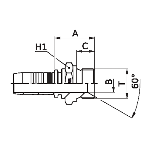 Terminal Prensado Macho Fixo BSPP 2