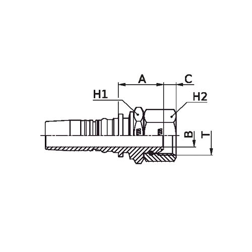 Terminal Prensado Reto Fêmea Giratória BSPP Boleado Interlock Plus 2